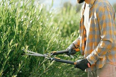 Hulp gevraagd voor tuinonderhoud