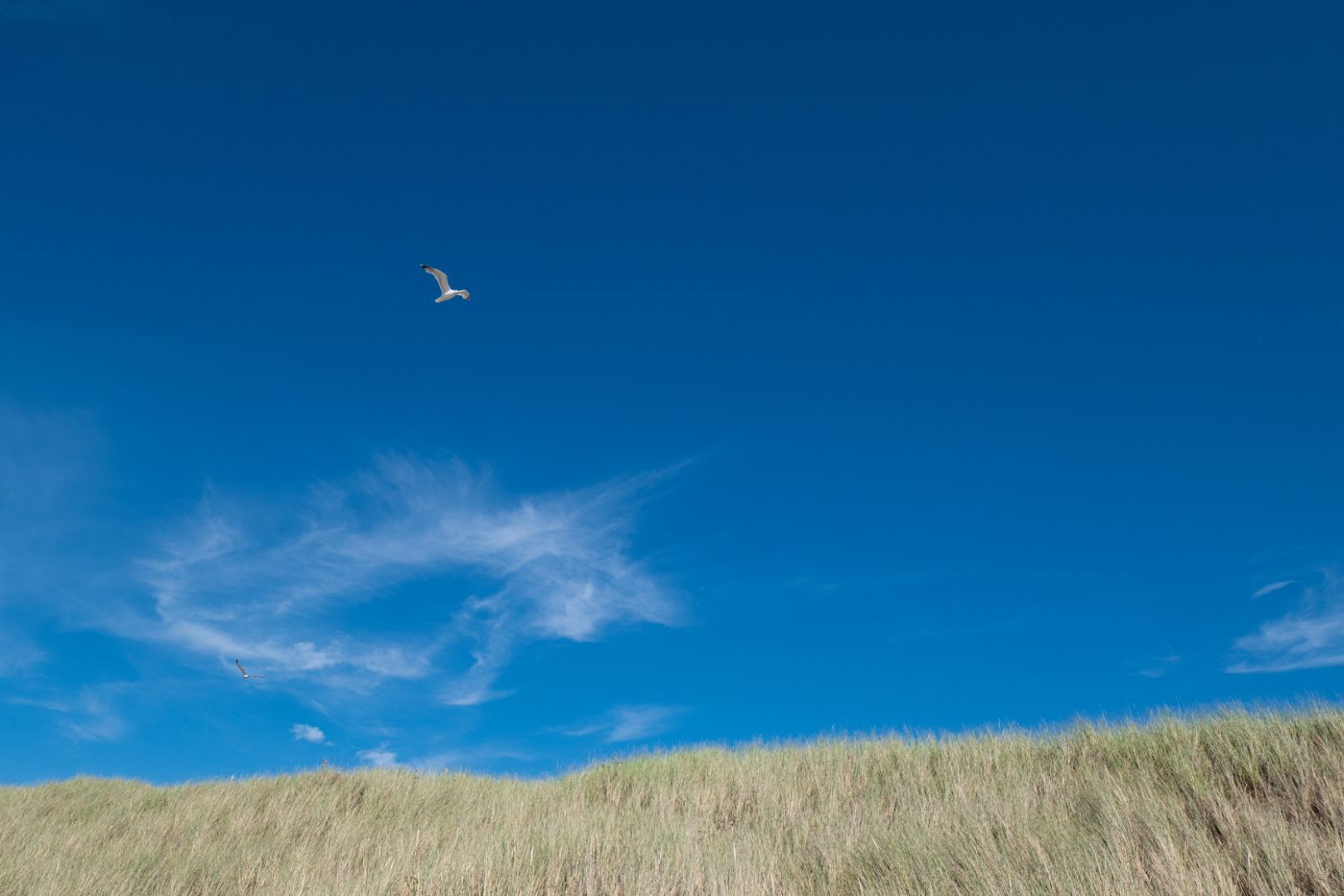 IN VERBAND MET DE ZOMERSTOP TOT SEPTEMBER GEEN REPAIRCAFE IN SCHAGEN