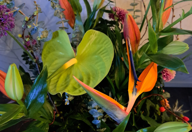 Gevraagd: Groene vrijwilligers