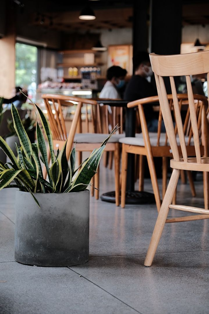 Wonen Plus Welzijn organiseert de Doet & Ontmoet groep in het Dorpshuis Hippolytushoef