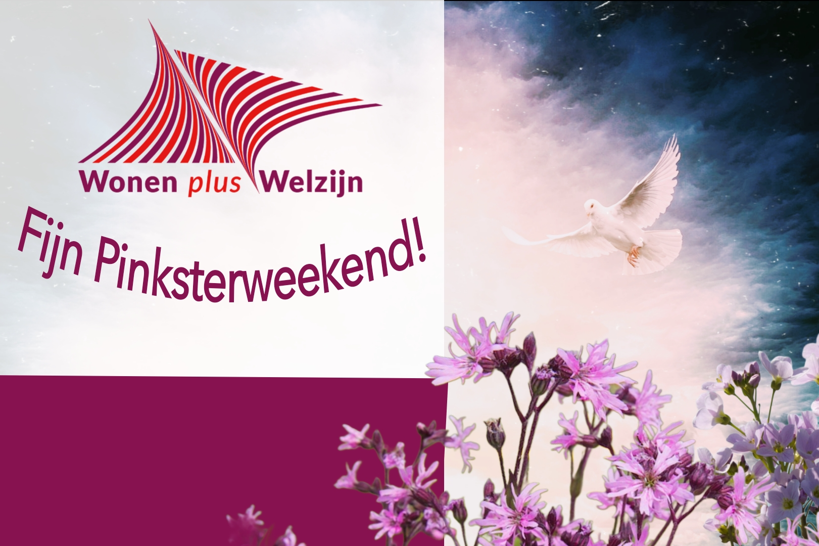 Fijne Pinksterdagen!